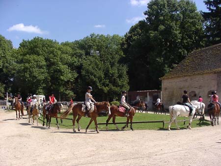 Aufmarsch zu den Reitstunden im Wald